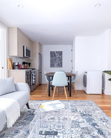 Open-plan studio with white sofa, dining table, kitchenette, hardwood floors, and potted plant