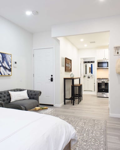 Studio apartment with bed, gray sofa, open kitchen, and potted plant on shelf